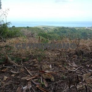 Gran terreno con vista al mar en venta en Las Terrenas