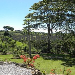 Properties for sale nestled in a hillside setting in Rio San Juan