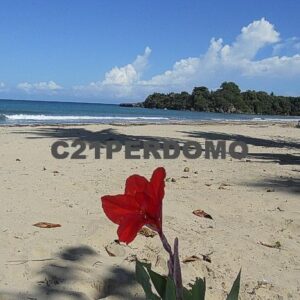 Beautiful plot located in front of the sea in Cambiaso beach