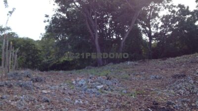 L-3920-SR (7) (grande)