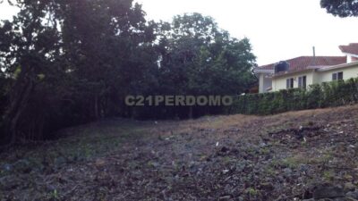 L-3920-SR (9) (grande)