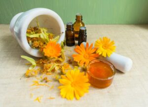 Cabaretes Health Wellness Healing Network Relax and Recharge: A Guide to the Best Spas in Cabarete and Sosua