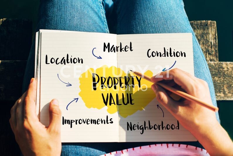 Budget-Friendly Properties North Coast