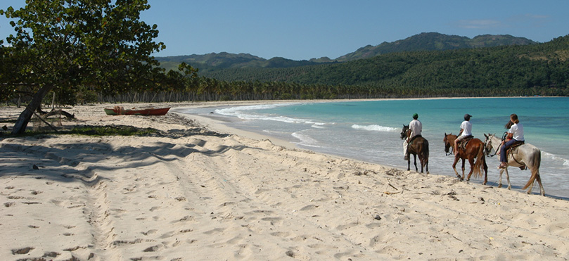 playa rincon Accueil