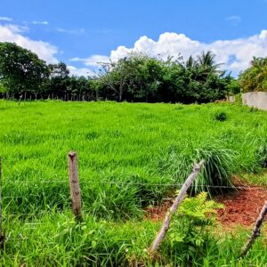 Beautiful Lot in a Gated Community