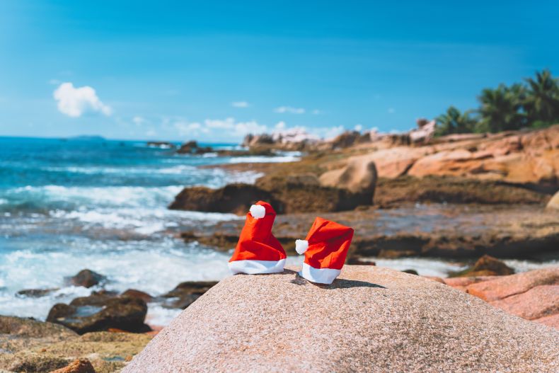 Dominican Christmas - Traditions, Tastes, and Twinkling Lights