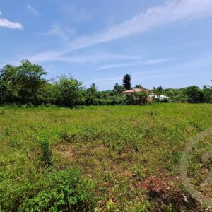 Building land in a good location.