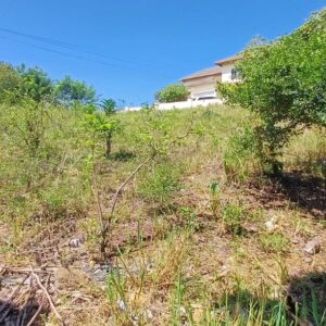 Beautiful Lot for Sale in an Elevated Location.