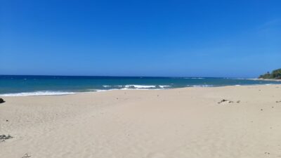 IMG-20250307-WA0007