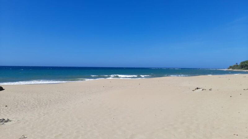 IMG-20250307-WA0007
