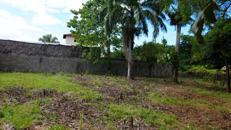 DSC07119 (1)