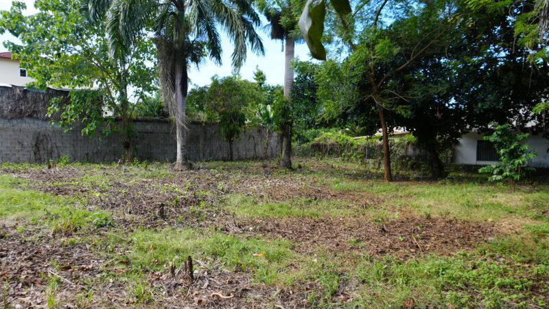 DSC07120