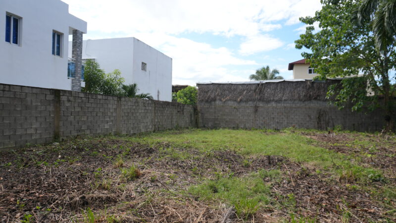 DSC07128