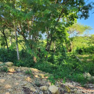 Lot for Sale in Sosúa Hills – Build Your Dream Villa