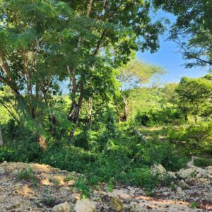 Lot for Sale in Sosúa Hills – Build Your Dream Villa