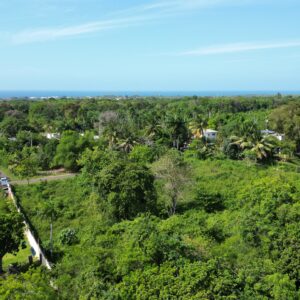 Opportunité de Développement Près de Sosúa – Terrain de 0,34 Acre.