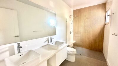 image5 (3)